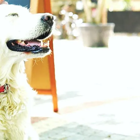 Manastirhan Kazdaglari Акчай