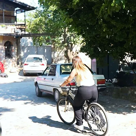 Manastirhan Kazdaglari Hotel 3*