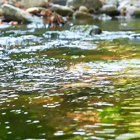 Manastirhan Kazdaglari 3*