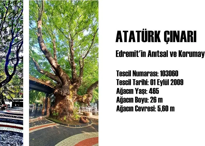 Manastirhan Kazdaglari Акчай