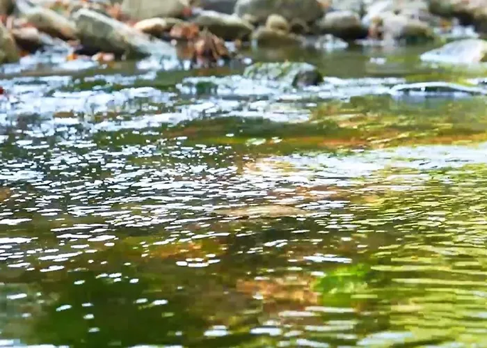 Отель Manastirhan Kazdaglari Акчай