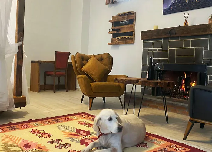 Отель Manastirhan Kazdaglari Акчай